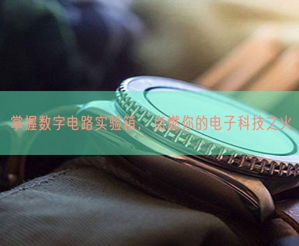 掌握数字电路实验箱，点燃你的电子科技之火(图1)