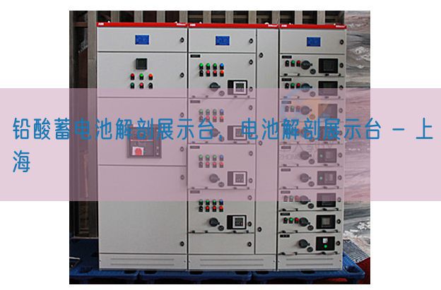 铅酸蓄电池解剖展示台，电池解剖展示台 - 上海(图1)